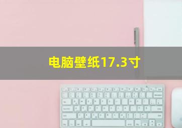 电脑壁纸17.3寸