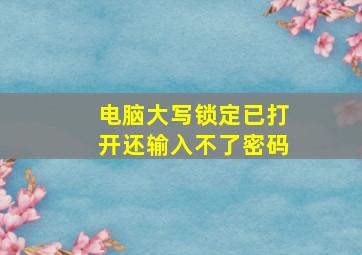 电脑大写锁定已打开还输入不了密码