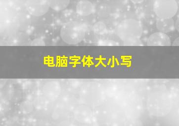 电脑字体大小写