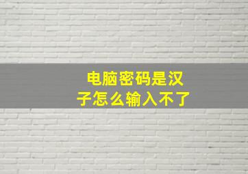 电脑密码是汉子怎么输入不了