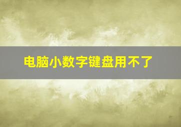 电脑小数字键盘用不了