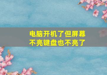 电脑开机了但屏幕不亮键盘也不亮了