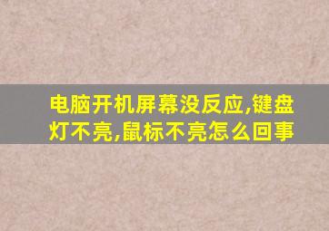 电脑开机屏幕没反应,键盘灯不亮,鼠标不亮怎么回事