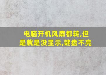 电脑开机风扇都转,但是就是没显示,键盘不亮