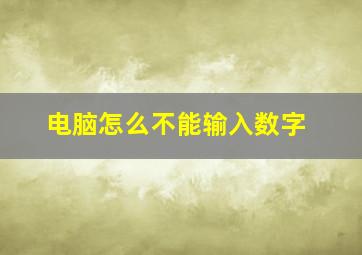 电脑怎么不能输入数字