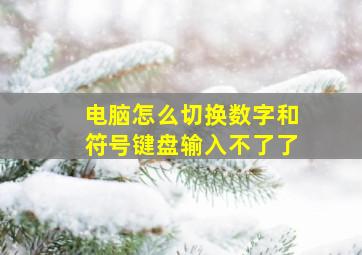 电脑怎么切换数字和符号键盘输入不了了