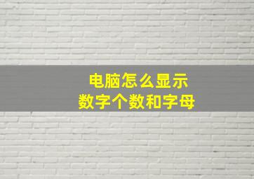 电脑怎么显示数字个数和字母