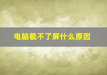 电脑截不了屏什么原因