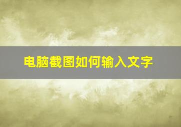 电脑截图如何输入文字