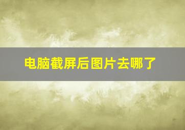 电脑截屏后图片去哪了