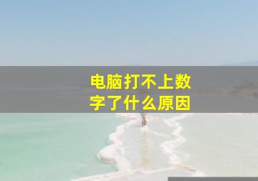 电脑打不上数字了什么原因