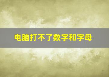 电脑打不了数字和字母