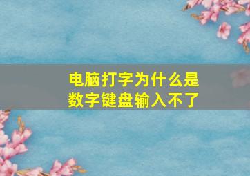 电脑打字为什么是数字键盘输入不了