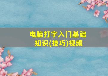 电脑打字入门基础知识(技巧)视频