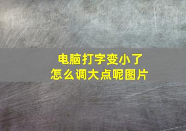 电脑打字变小了怎么调大点呢图片