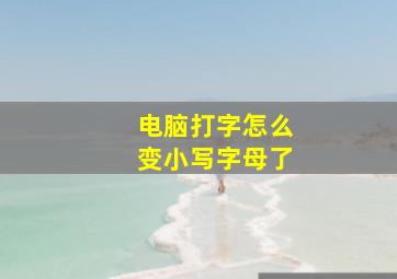 电脑打字怎么变小写字母了