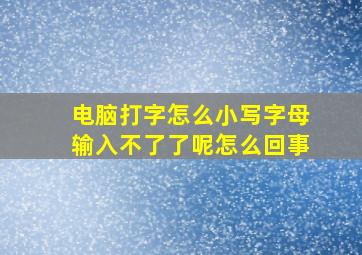 电脑打字怎么小写字母输入不了了呢怎么回事