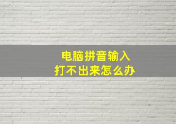 电脑拼音输入打不出来怎么办