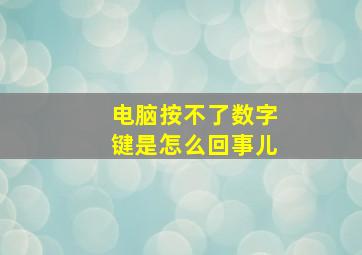 电脑按不了数字键是怎么回事儿