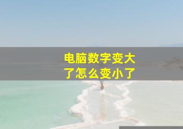 电脑数字变大了怎么变小了