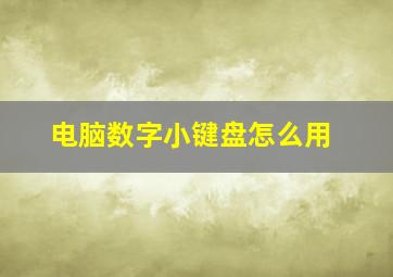 电脑数字小键盘怎么用