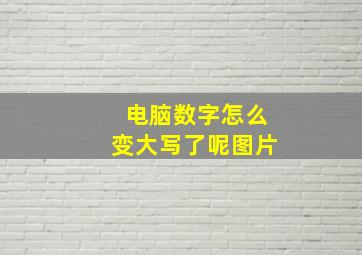 电脑数字怎么变大写了呢图片