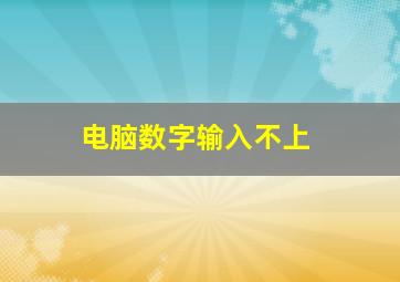 电脑数字输入不上