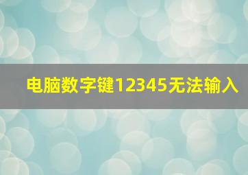 电脑数字键12345无法输入