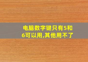 电脑数字键只有5和6可以用,其他用不了