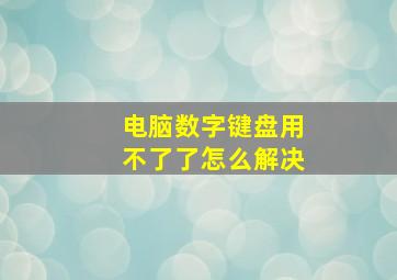 电脑数字键盘用不了了怎么解决