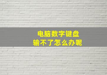 电脑数字键盘输不了怎么办呢