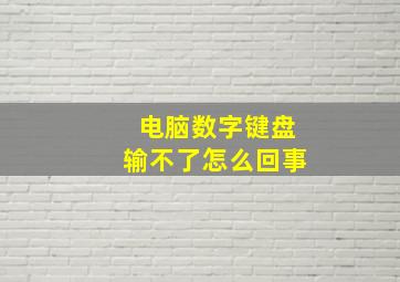 电脑数字键盘输不了怎么回事