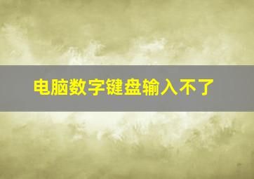 电脑数字键盘输入不了