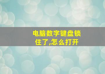 电脑数字键盘锁住了,怎么打开