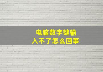 电脑数字键输入不了怎么回事