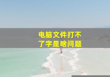 电脑文件打不了字是啥问题