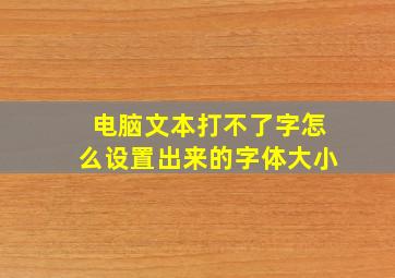 电脑文本打不了字怎么设置出来的字体大小