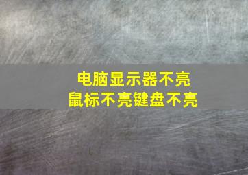 电脑显示器不亮鼠标不亮键盘不亮