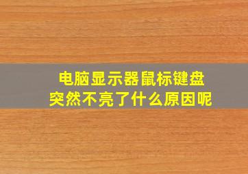 电脑显示器鼠标键盘突然不亮了什么原因呢