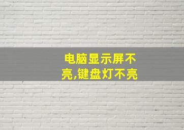 电脑显示屏不亮,键盘灯不亮