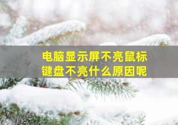 电脑显示屏不亮鼠标键盘不亮什么原因呢