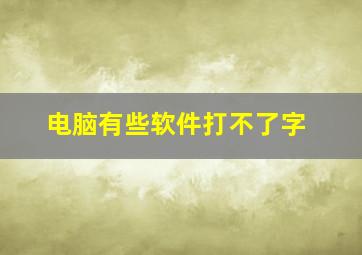 电脑有些软件打不了字