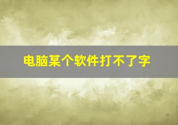 电脑某个软件打不了字