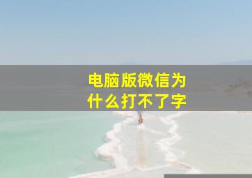 电脑版微信为什么打不了字