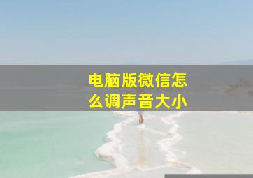 电脑版微信怎么调声音大小