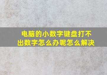 电脑的小数字键盘打不出数字怎么办呢怎么解决