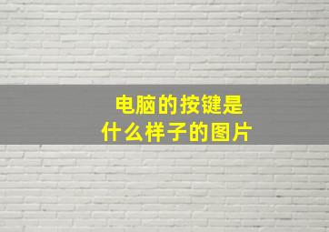 电脑的按键是什么样子的图片