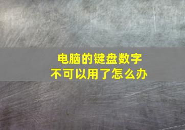 电脑的键盘数字不可以用了怎么办