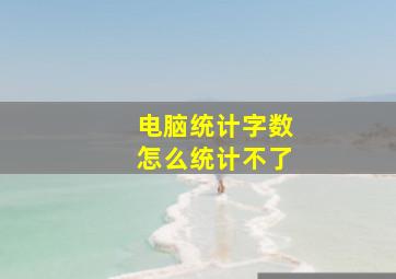 电脑统计字数怎么统计不了