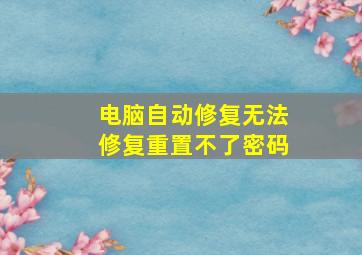 电脑自动修复无法修复重置不了密码